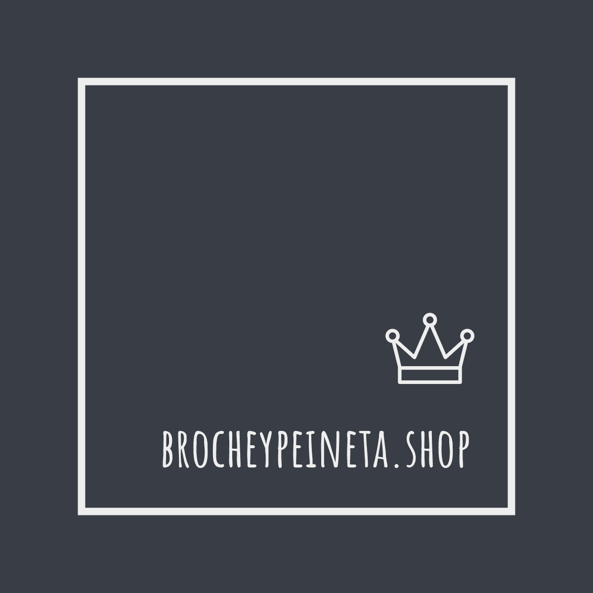 brocheypeineta.shop